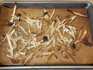 Dried mushrooms scattered on a baking sheet with a silicone mat, ready to be added to your favorite dishes like cold sesame noodles.