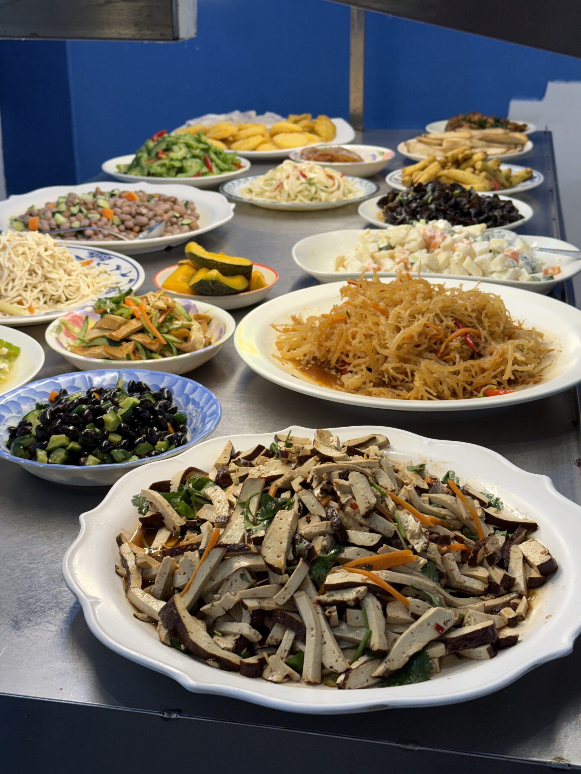 Assorted Chinese cold dishes, including bean curds and various vegetables, arranged on plates on a stainless steel counter.